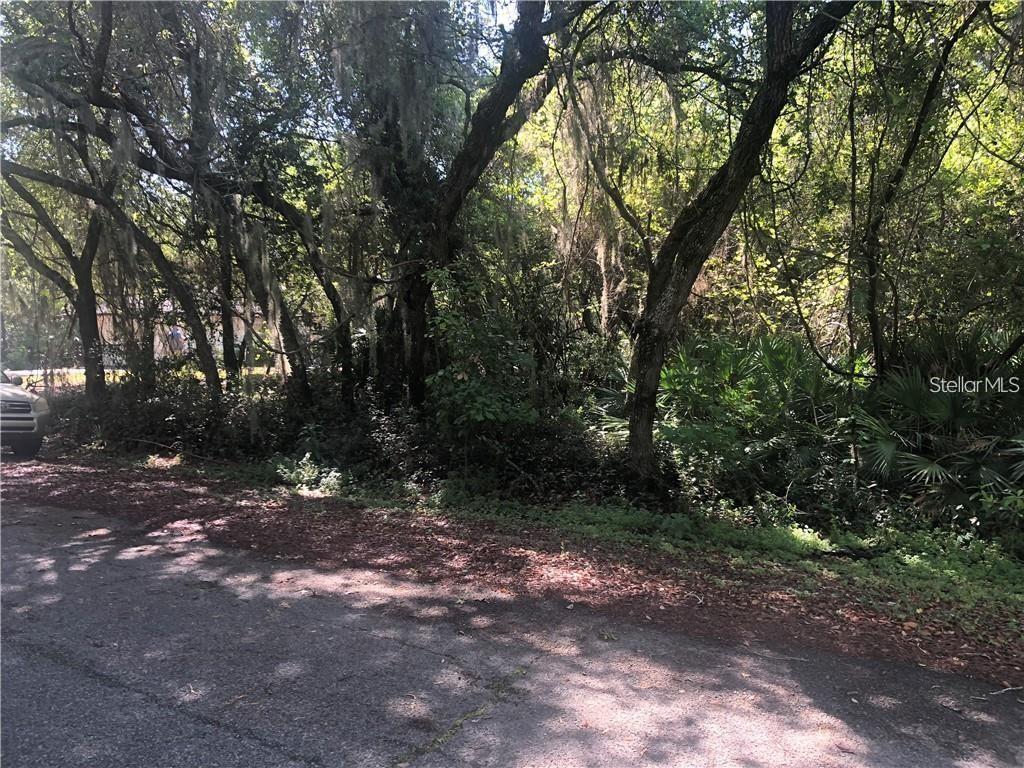 261 TOMS ROAD