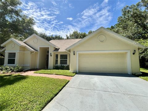 Single Family Residence in TAMPA FL 16104 STOWE COURT.jpg