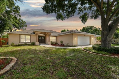 A home in TAMPA