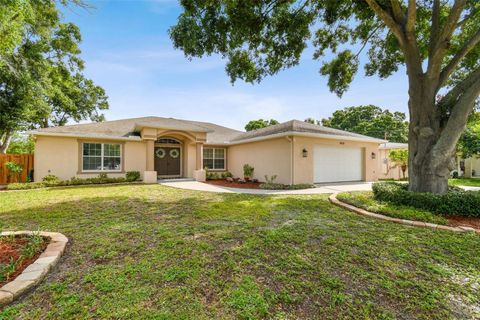 A home in TAMPA