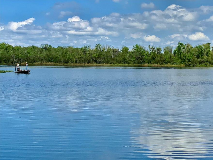 If you have been dreaming of an affordable home with direct access to the chain of lakes you have found it! Beautiful Harbor Oaks community offers direct access to Lake Griffin with private community boat ramp, marina with boat slips (when available) and dry storage for your boat, trailer and RV (also when available). There is also a fishing dock included in the community. This 2 bedroom 2 bath home is so light and bright and updated with all neutral colors and very well maintained. Clean as a whistle and you can move right in without any work! All kitchen appliances convey and there are double pantries along with lots of cabinet storage. The dining room includes a lovely built-in with decorative glass cabinets and even more storage. Your $125 LOW monthly HOA fee includes: water, sewer, trash pickup and yard mowing. It also includes a community pool, shuffleboard courts and a community center. There is a small workshop/storage area attached to the carport with washer and dryer included. Don’t forget the finished screened-in porch out front. Hurry before this wonderful home is gone!