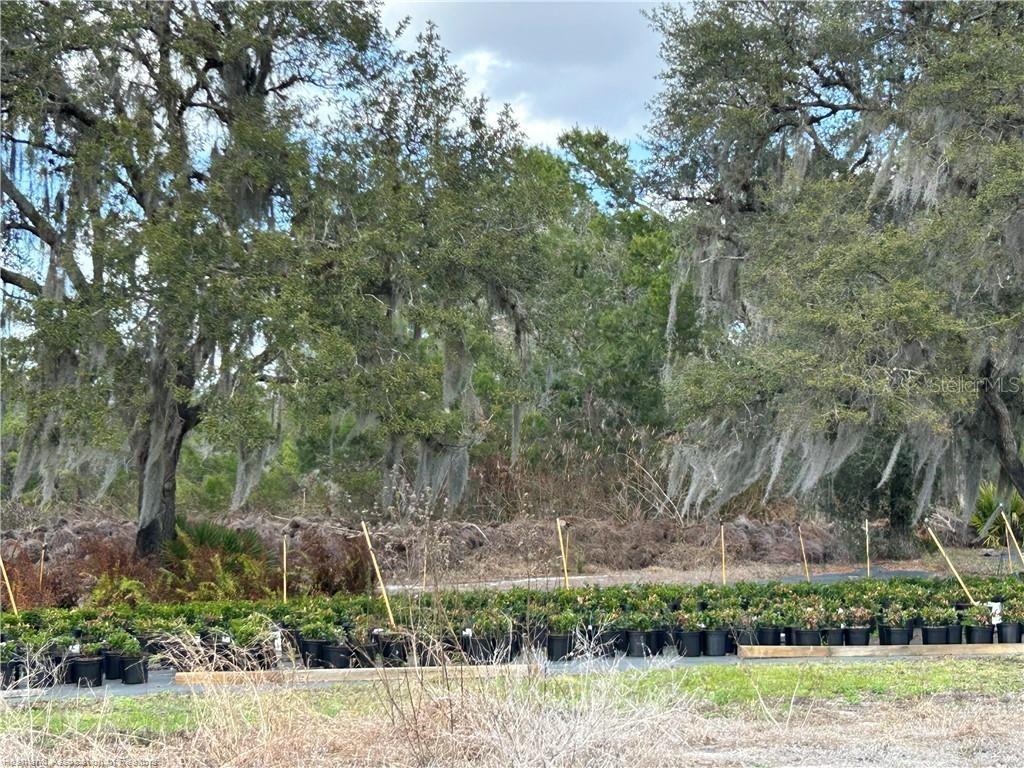 WATSON S TR 8 - Residential