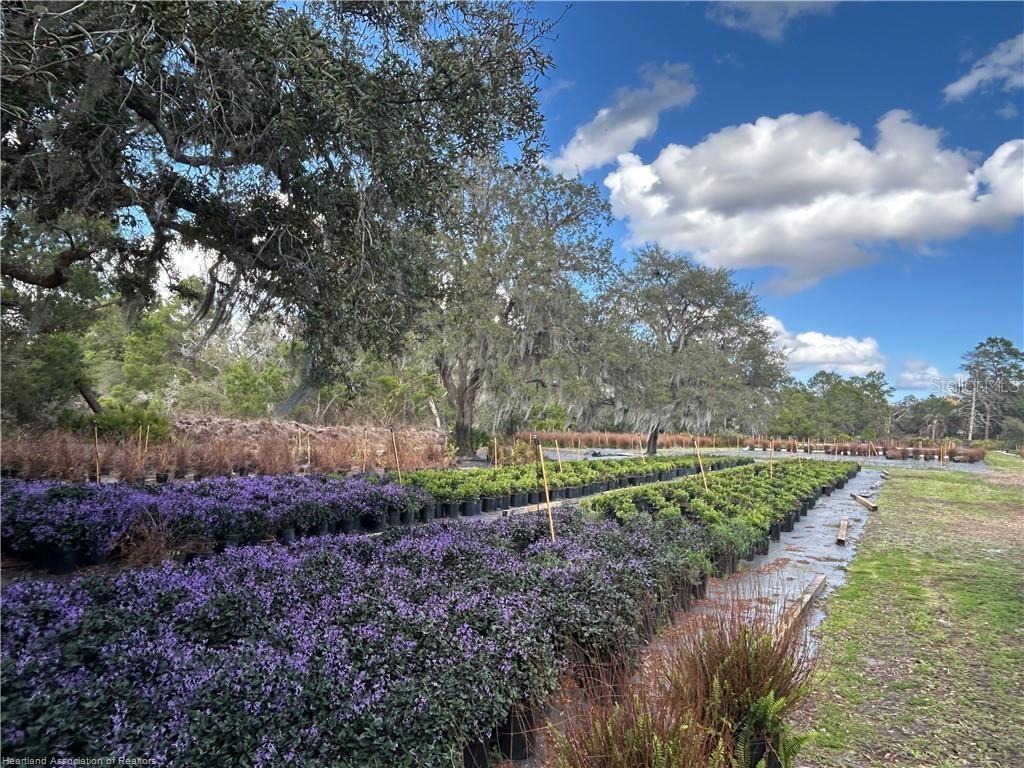 WATSON S TR 8 - Residential