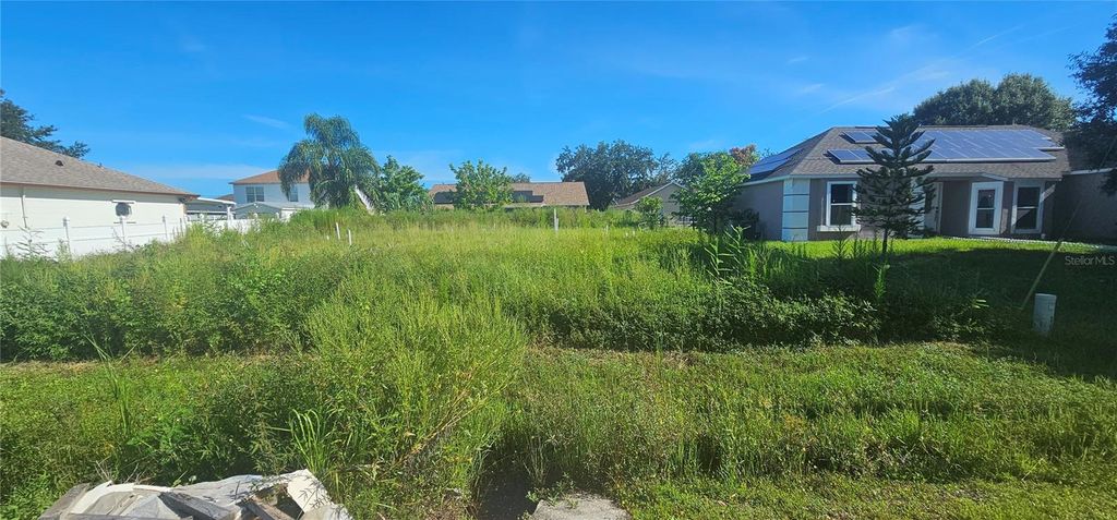 Photo of 167 Birmingham Drive, Kissimmee, FL 34758 (MLS # S5135992)