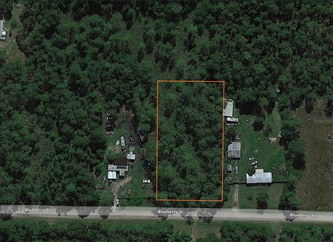 2315 BLUEBERRY STREET BUNNELL FL 32110