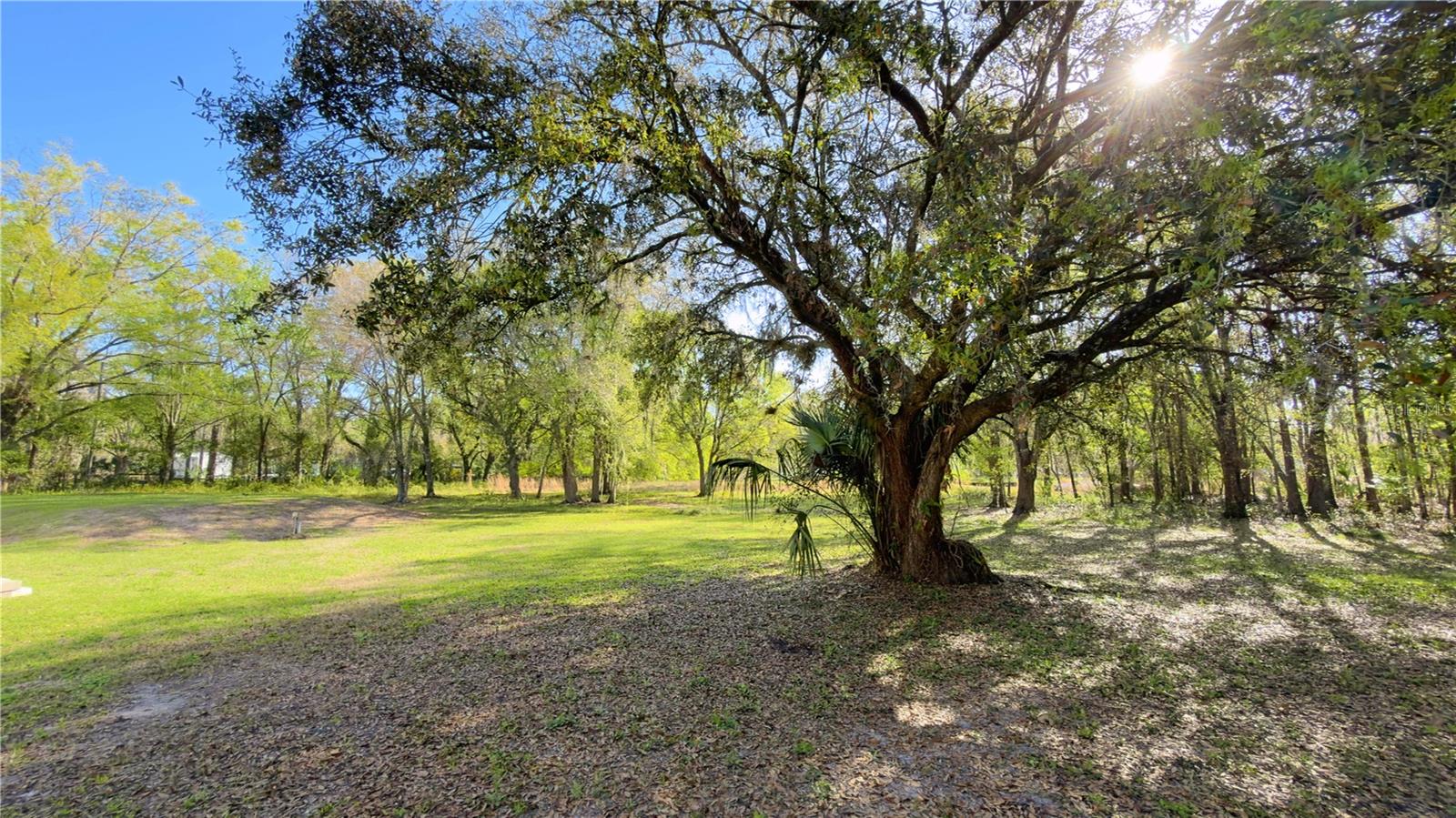ANGUS VALLEY - Residential