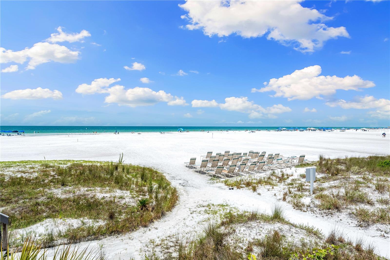 CASARINA - Residential