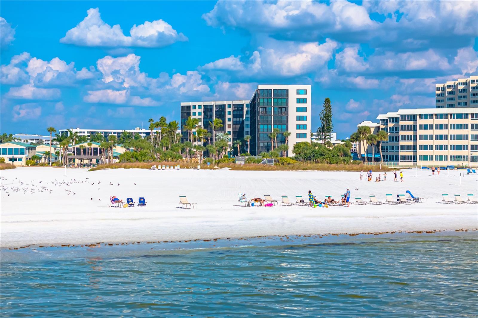 CASARINA - Residential