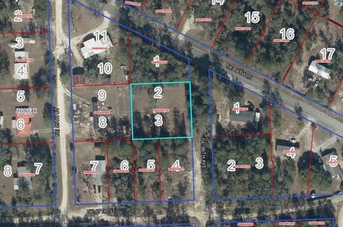 Photo of 2 NE 95th Ave, Bronson, FL 32621 (MLS # GC540544)