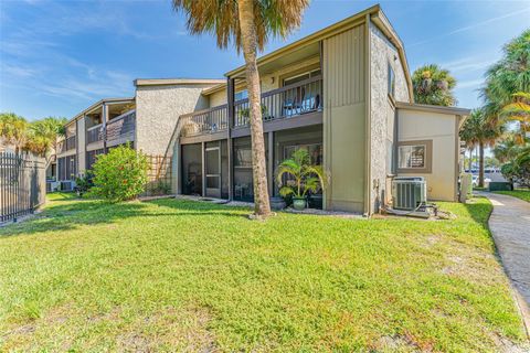 A home in TAMPA