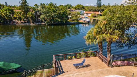 A home in TAMPA