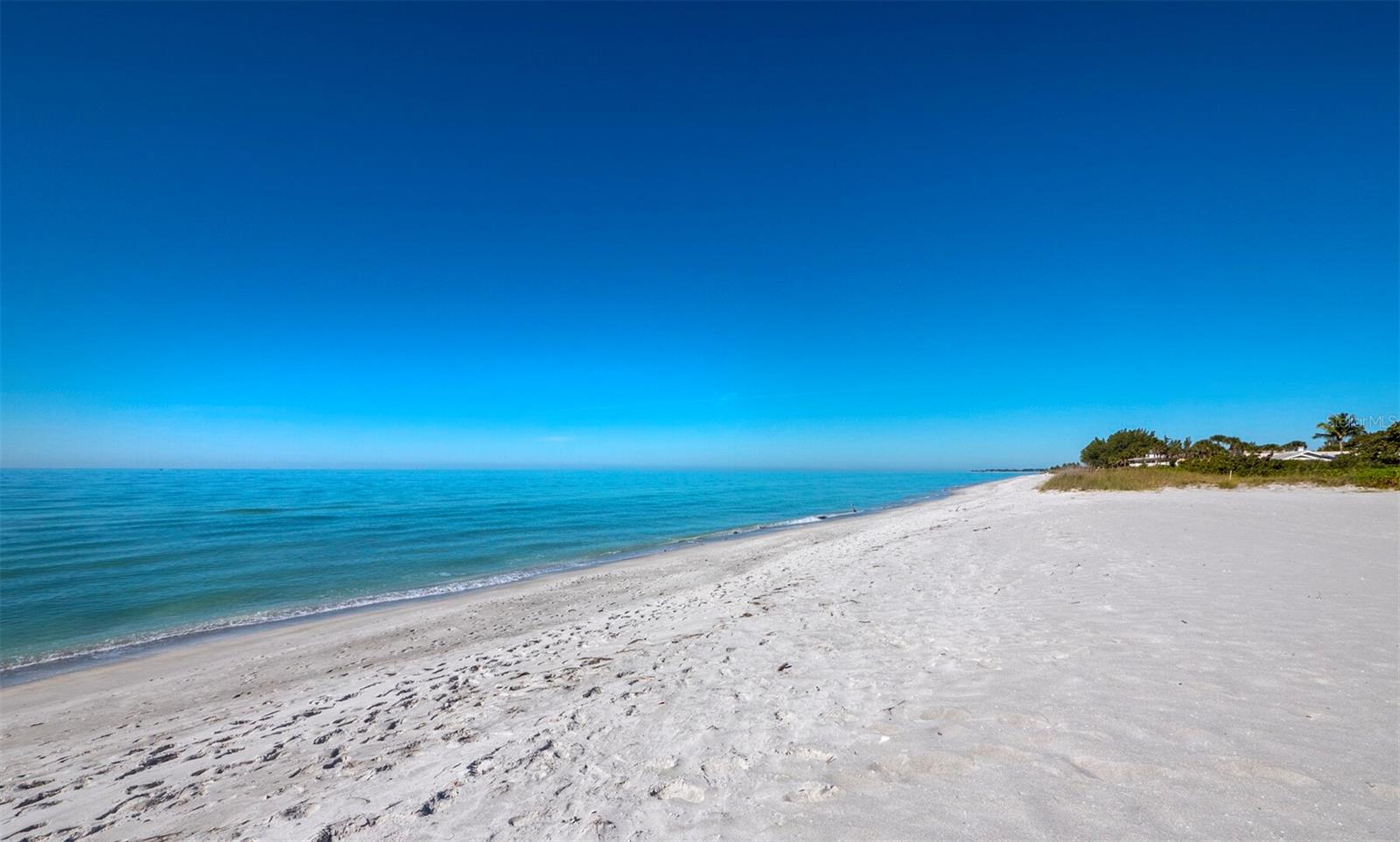 LONGBOAT ARMS - Residential