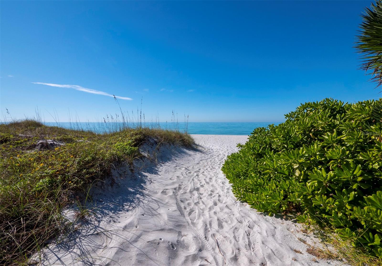 LONGBOAT ARMS - Residential