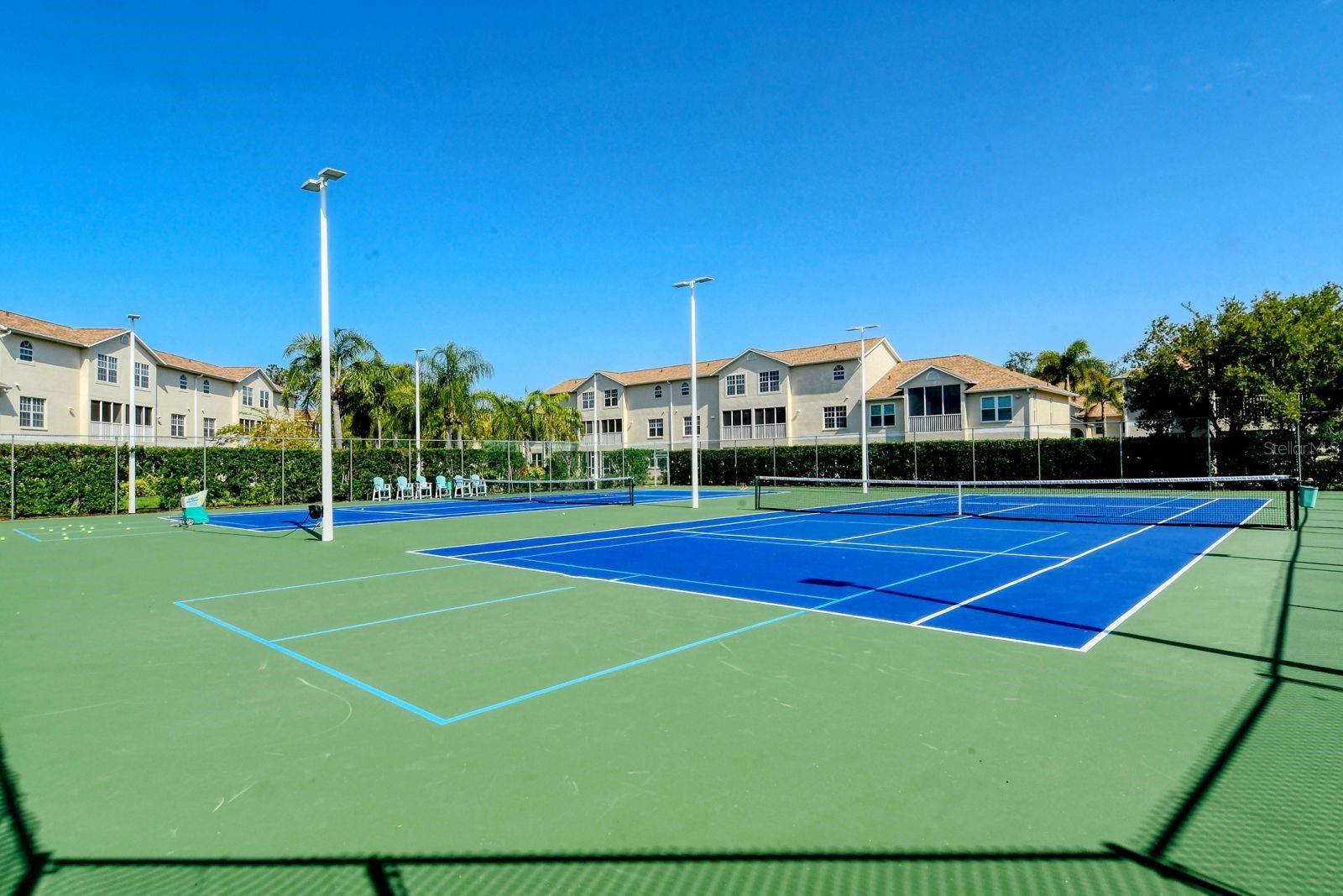 PINESTONE AT PALMER RANCH - Residential