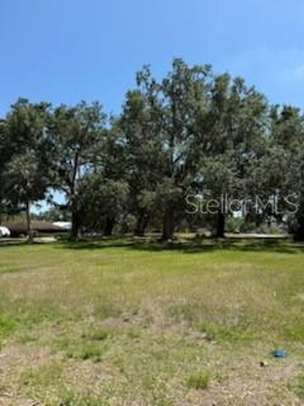 Photo of 0 River Oak Drive, Fort Meade, FL 33841 (MLS # L4952312)
