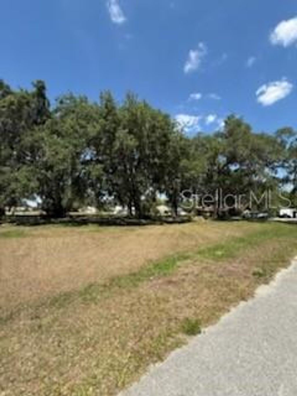 Photo of 0 River Oak Drive, Fort Meade, FL 33841 (MLS # L4952312)