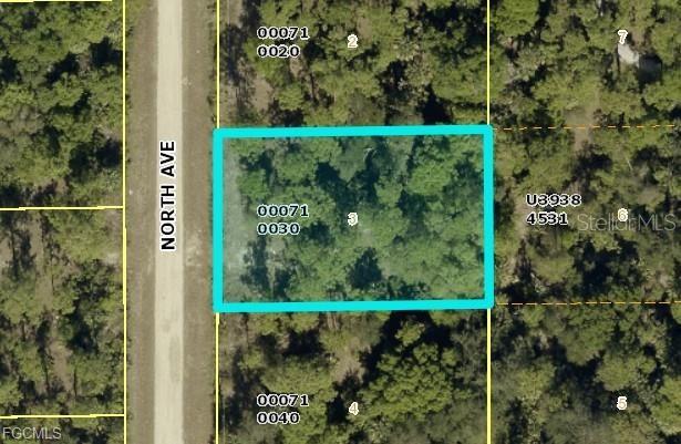 Photo of 716 North Avenue, Lehigh Acres, FL 33972 (MLS # TB8556412)