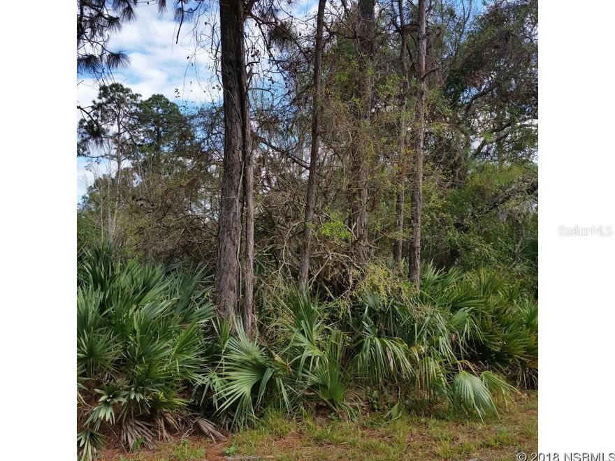 Great Location- just off U.S.1 (Ridgewood Ave) in Edgewater- close to schools, shopping, restaurants and public transportation.  All information recorded in MLS is intended to be accurate but cannot be guaranteed.  Buyer advised to verify.; Cleared: No ;Water: Holding Tank