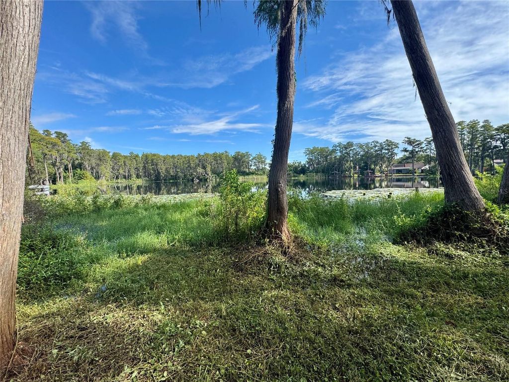 Photo of 16301 Dew Drop Lane, Tampa, FL 33625 (MLS # TB8442519)