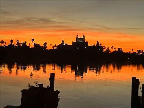 A home in ST PETE BEACH