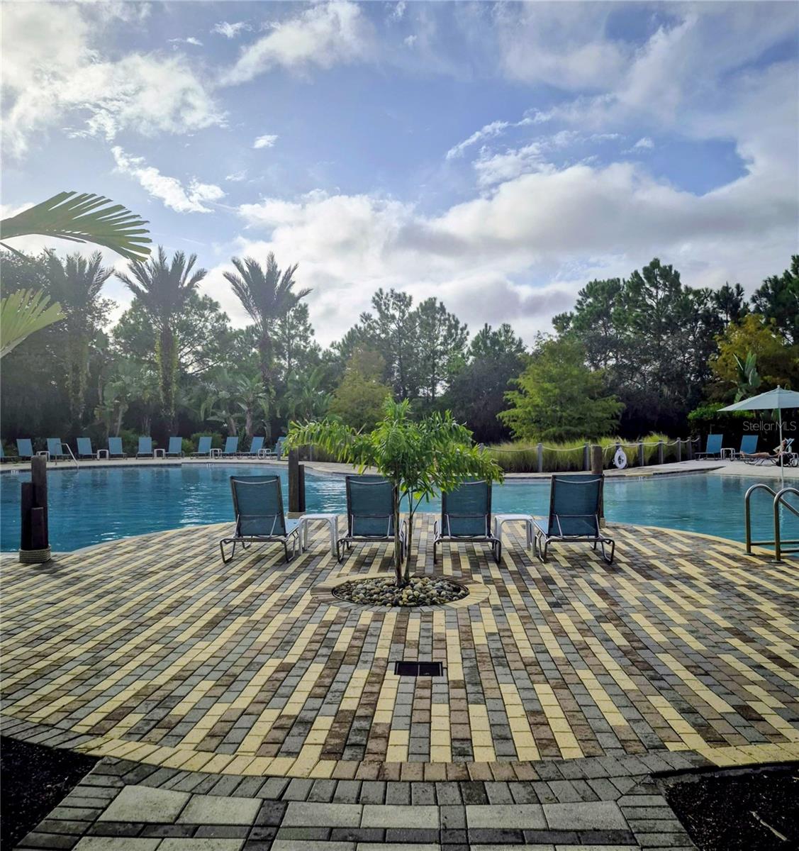 FESTIVAL PH 5 - Residential Lease