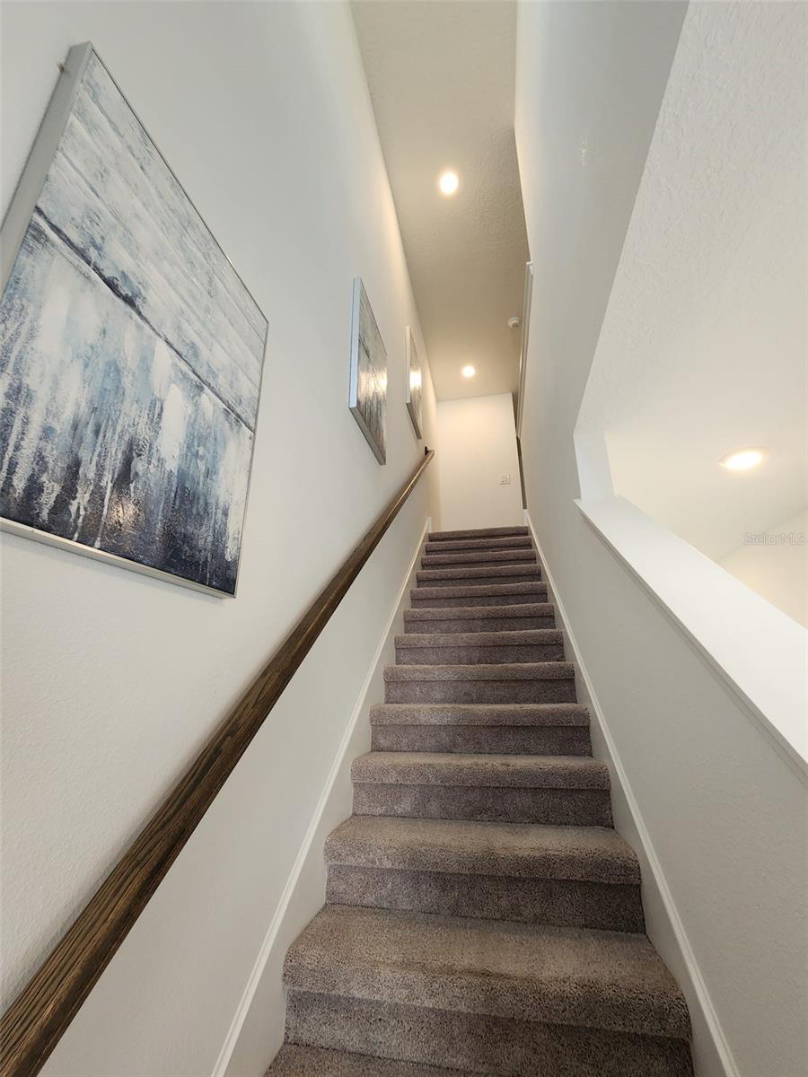 FESTIVAL PH 5 - Residential Lease