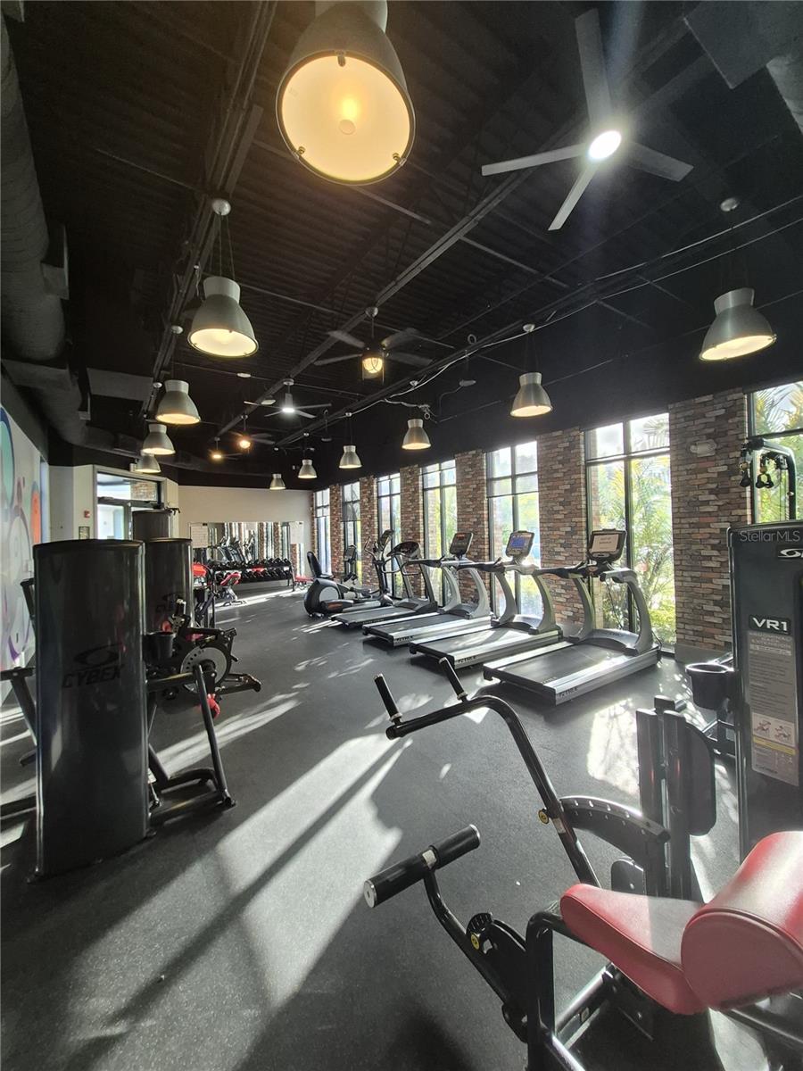 FESTIVAL PH 5 - Residential Lease