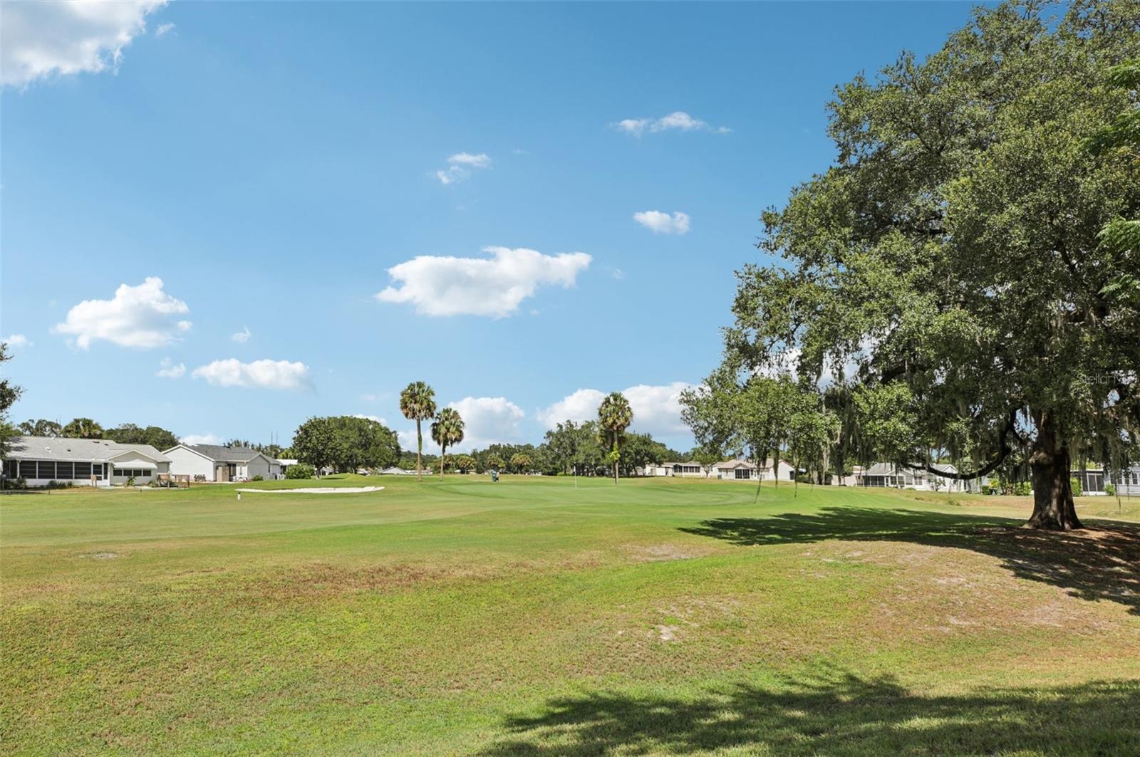 LADY LAKE ORANGE BLOSSOM GARDENS UNIT 08 - Residential