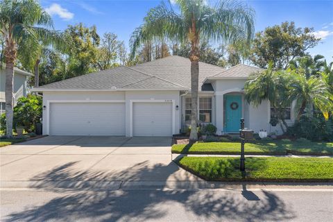 A home in LAND O LAKES