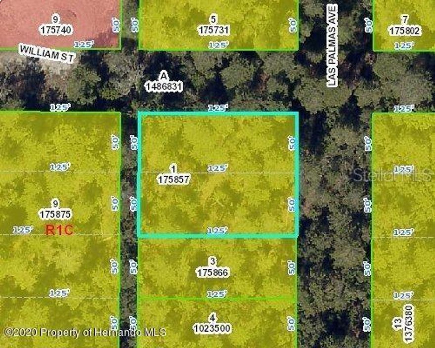 This lot is just blocks off of US Highway 19, is near many amenities and a nice community with beautiful homes. The amenities close by include restaurants, banks, medical, hospital, shopping centers, supermarkets, and big box stores. If you enjoy sunsets, swimming, fishing, boating, kayaking or canoeing, there's a handful of local parks along the water including Weeki Wachee, Rogers Park, Jenkins Creek, Linda Pedersen, and Pine Island beach at the Gulf of Mexico. It's located approximately 1 hour drive to Tampa & St. Pete Airports and 1.5 hours to Orlando and Ocala. The road is dirt and not county maintained but just about 1/2 block from pavement.