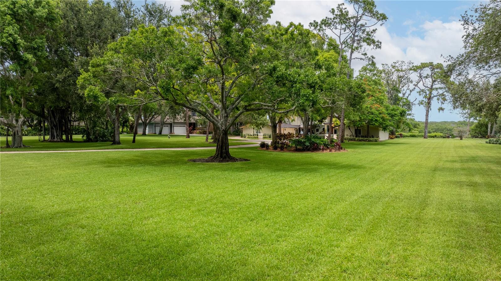 PINELLAS FARMS - Residential
