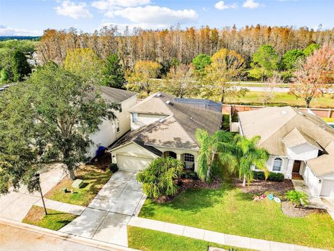 A home in LAND O LAKES