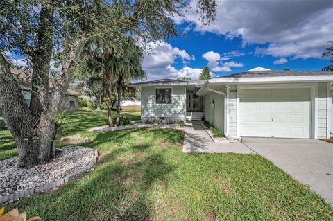 1206 S POINTE ALEXIS DRIVE TARPON SPRINGS FL 34689