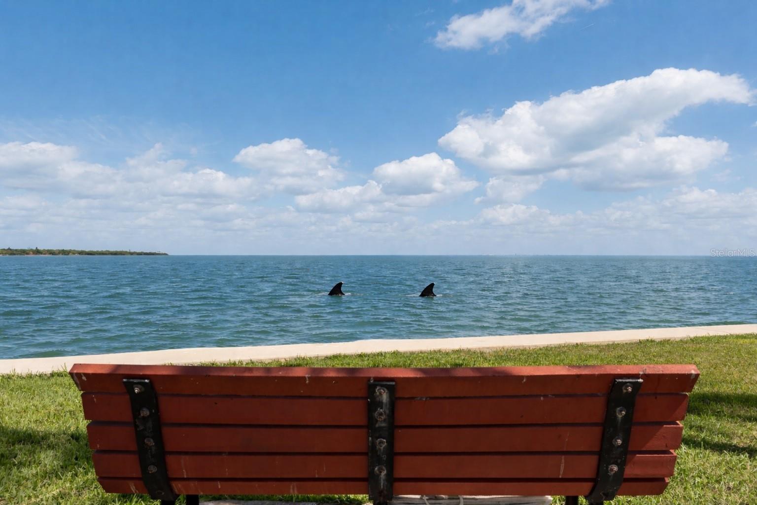 SEAPOINTE TERRACE CONDO - Residential