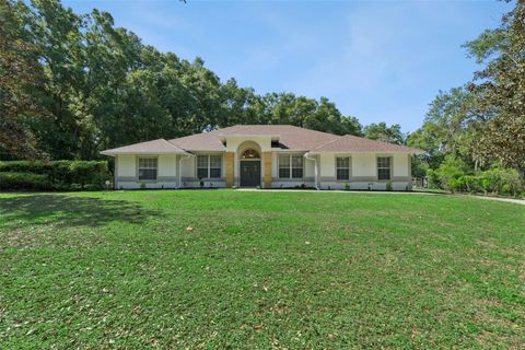 Tiny photo for 14820 County Road 561a, Clermont, FL 34715 (MLS # G5111004)