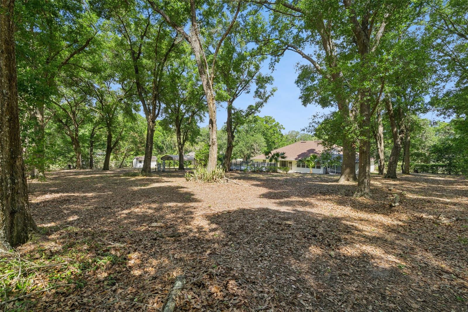 COUNTY ROAD 561A - Residential