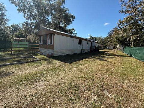 Photo of 836 Cr 481w, Lake Panasoffkee, FL 33538 (MLS # S5138545)
