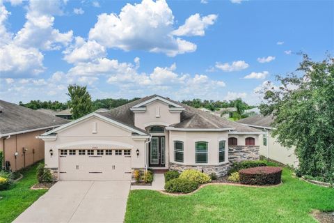 Photo of 29263 Grass Bunker Drive, San Antonio, FL 33576 (MLS # TB8309302)