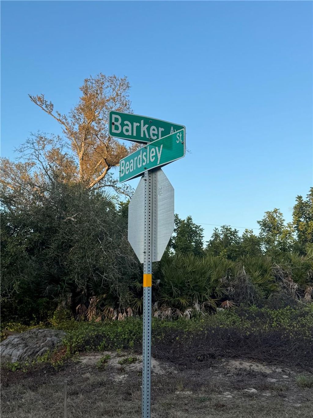 Photo of 10052 Barker Avenue, Englewood, FL 34224 (MLS # A4684780)