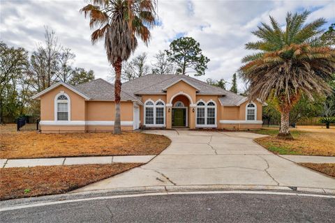 Photo of 14586 Zachary Drive E, Jacksonville, FL 32218 (MLS # TB8476337)