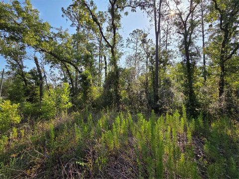 Tiny photo for 37 SW Hunter Hill Avenue, Dunnellon, FL 34431 (MLS # OM727510)
