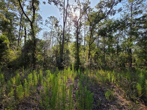 Tiny photo for 37 SW Hunter Hill Avenue, Dunnellon, FL 34431 (MLS # OM727510)