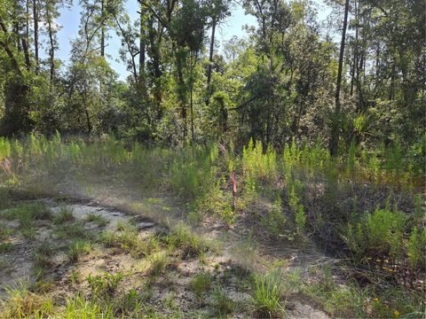 Tiny photo for 37 SW Hunter Hill Avenue, Dunnellon, FL 34431 (MLS # OM727510)