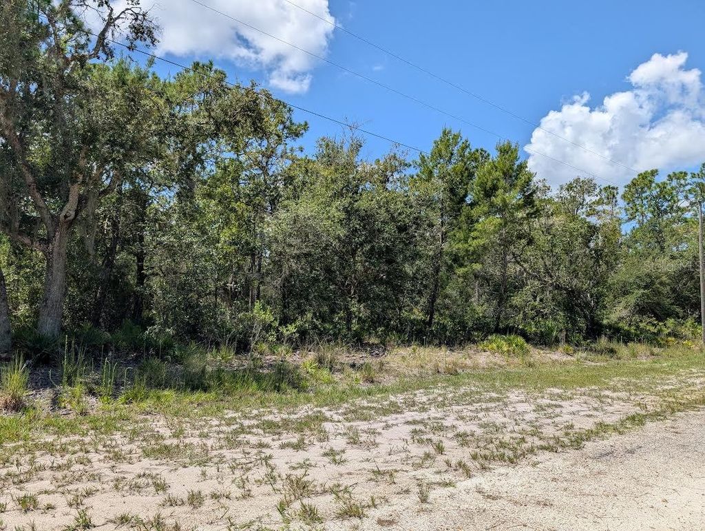 Photo of 1113 Tropicana Drive, Indian Lake Estates, FL 33855 (MLS # TB8421421)