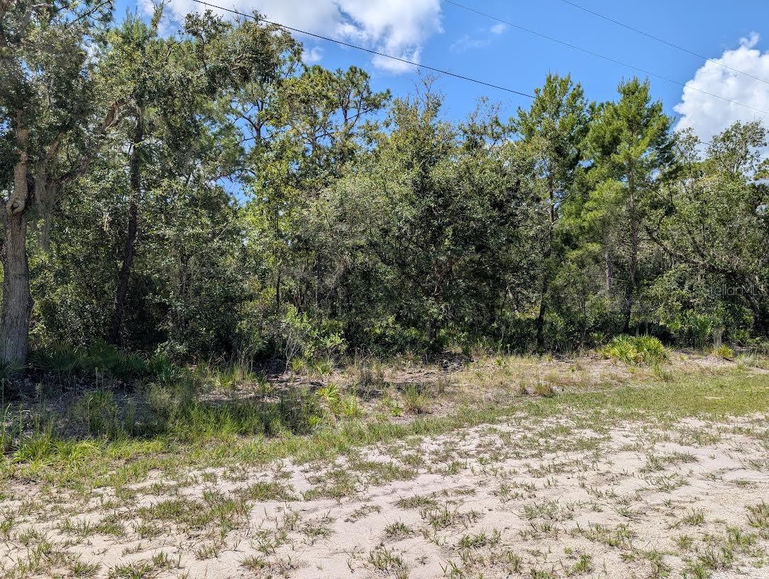INDIAN LAKE ESTATES UNIT 09 REV - Land