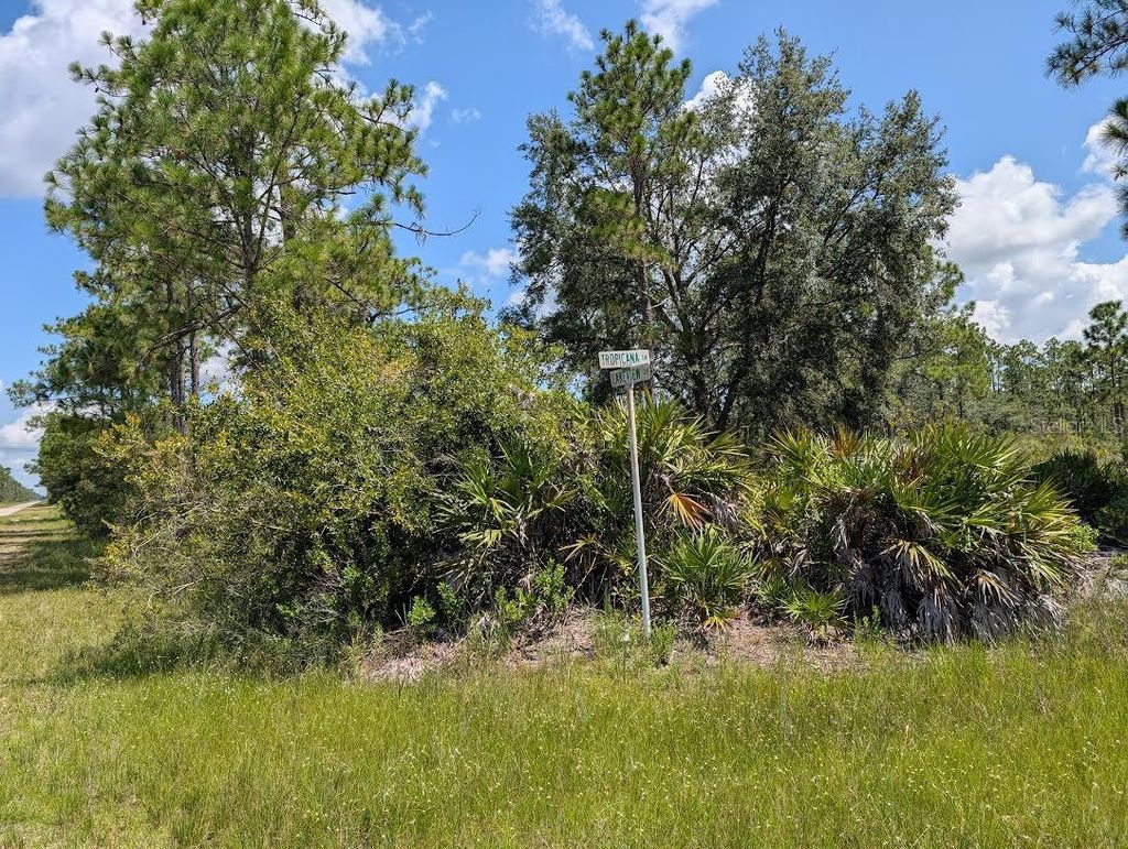 Photo of 1113 Tropicana Drive, Indian Lake Estates, FL 33855 (MLS # TB8421421)