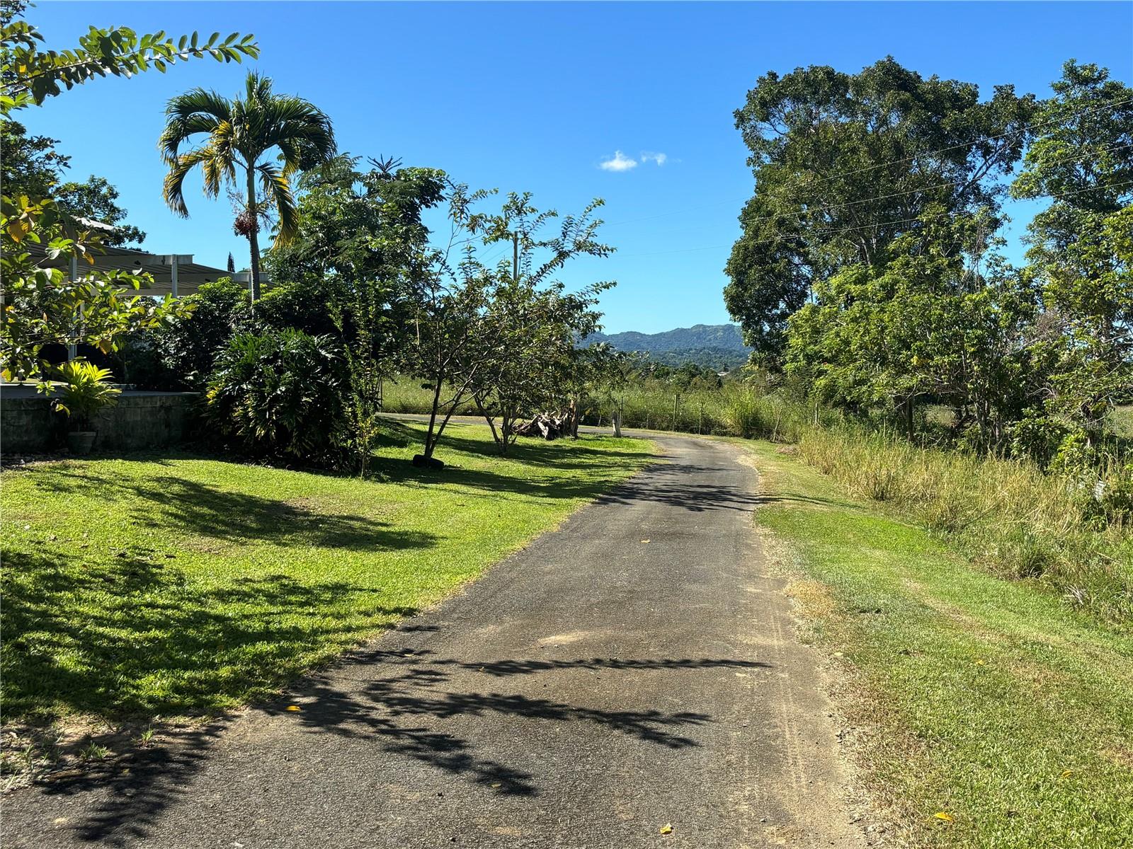 14 PR -146 FRONTON, CIALES - Residential