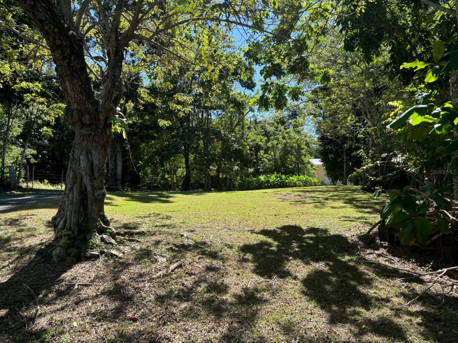 14 PR -146 FRONTON, CIALES - Residential