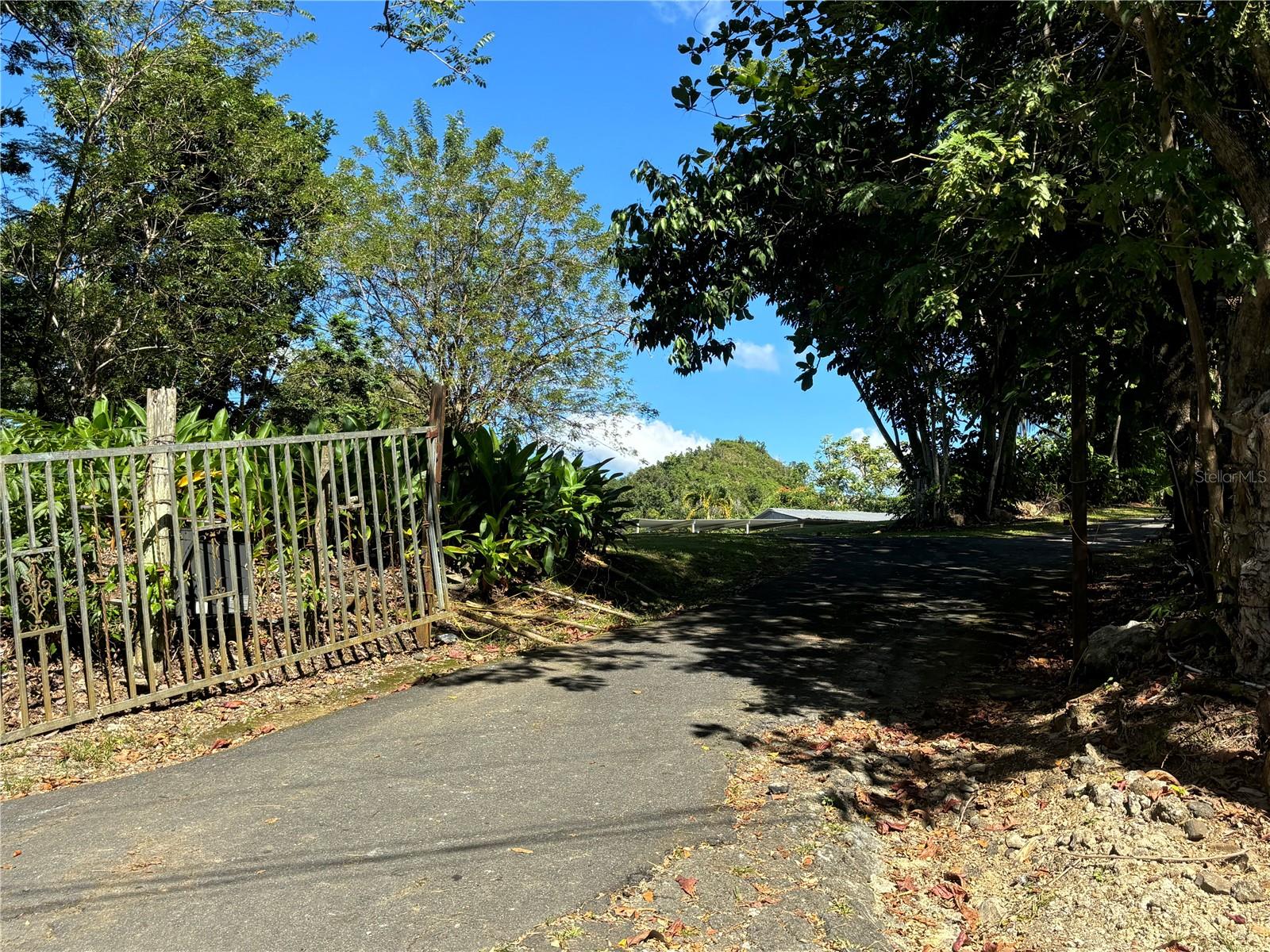 14 PR -146 FRONTON, CIALES - Residential