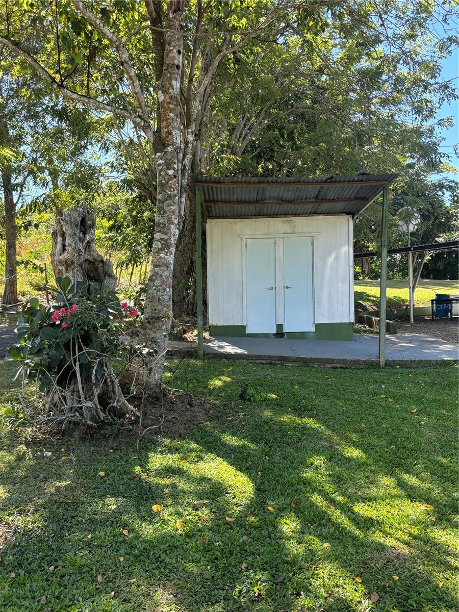 14 PR -146 FRONTON, CIALES - Residential